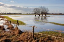 6% of English golf courses ‘at high risk of flooding’