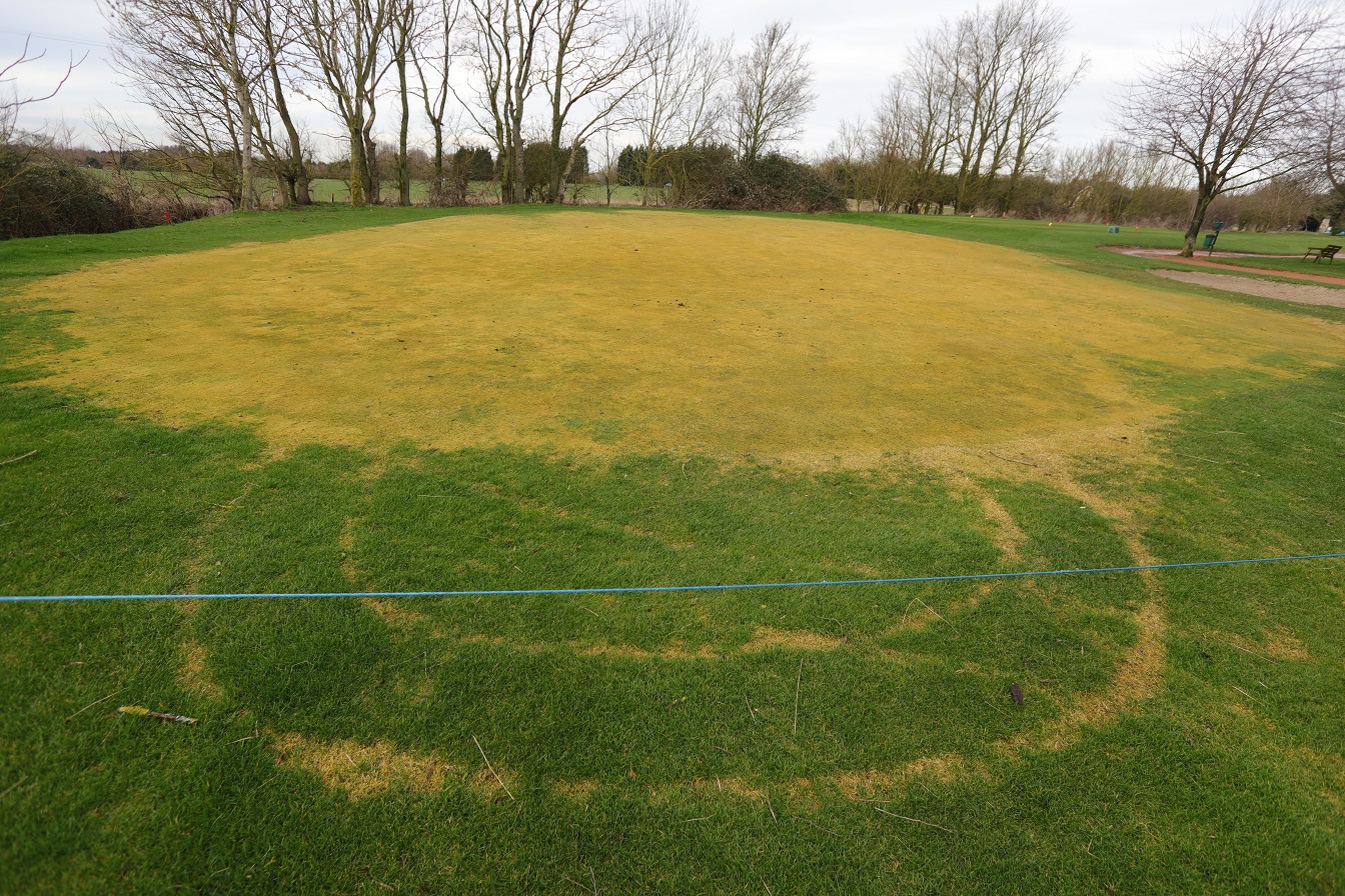 ‘This is the worst vandalism I’ve ever seen’