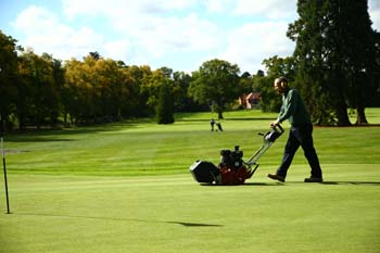 Noel Mackenzie: The growing season is lasting longer – costing your club more money