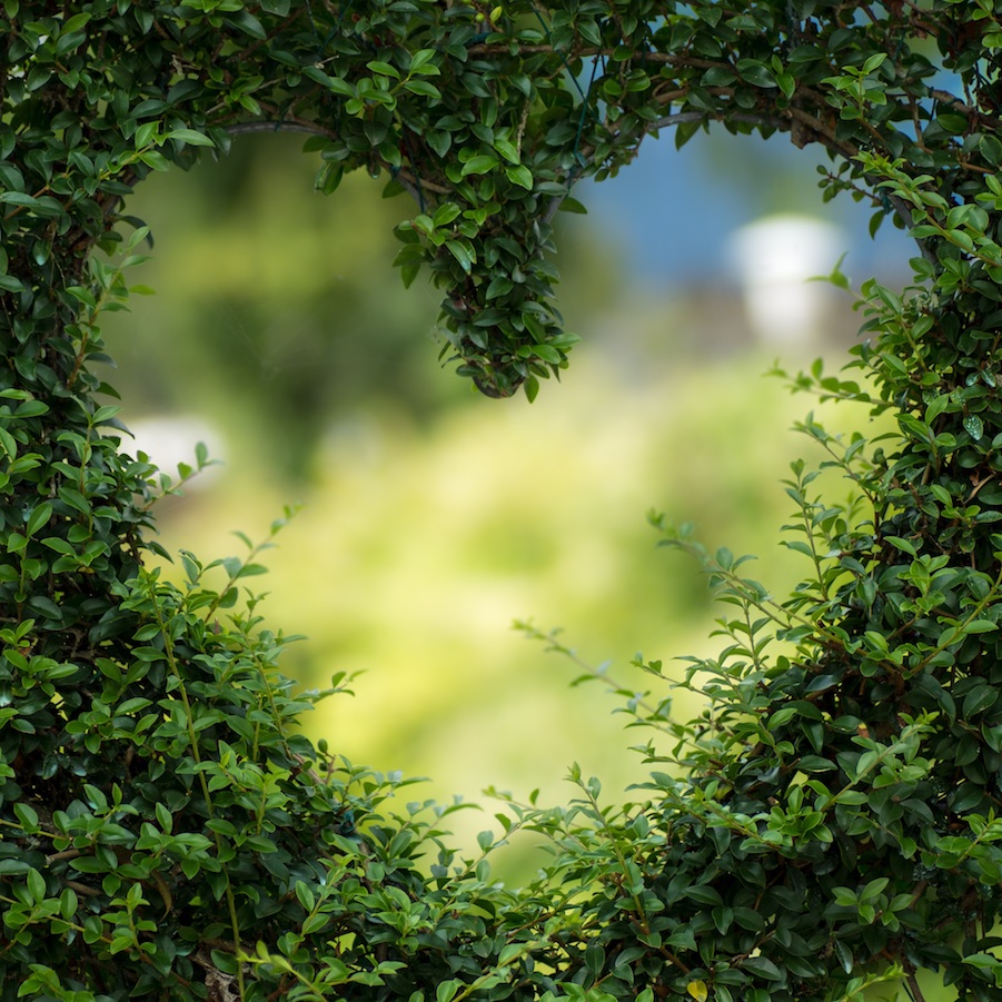 Playing golf makes you appear more sexually attractive