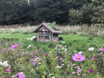 Environmental excellence at Abergele Golf Club