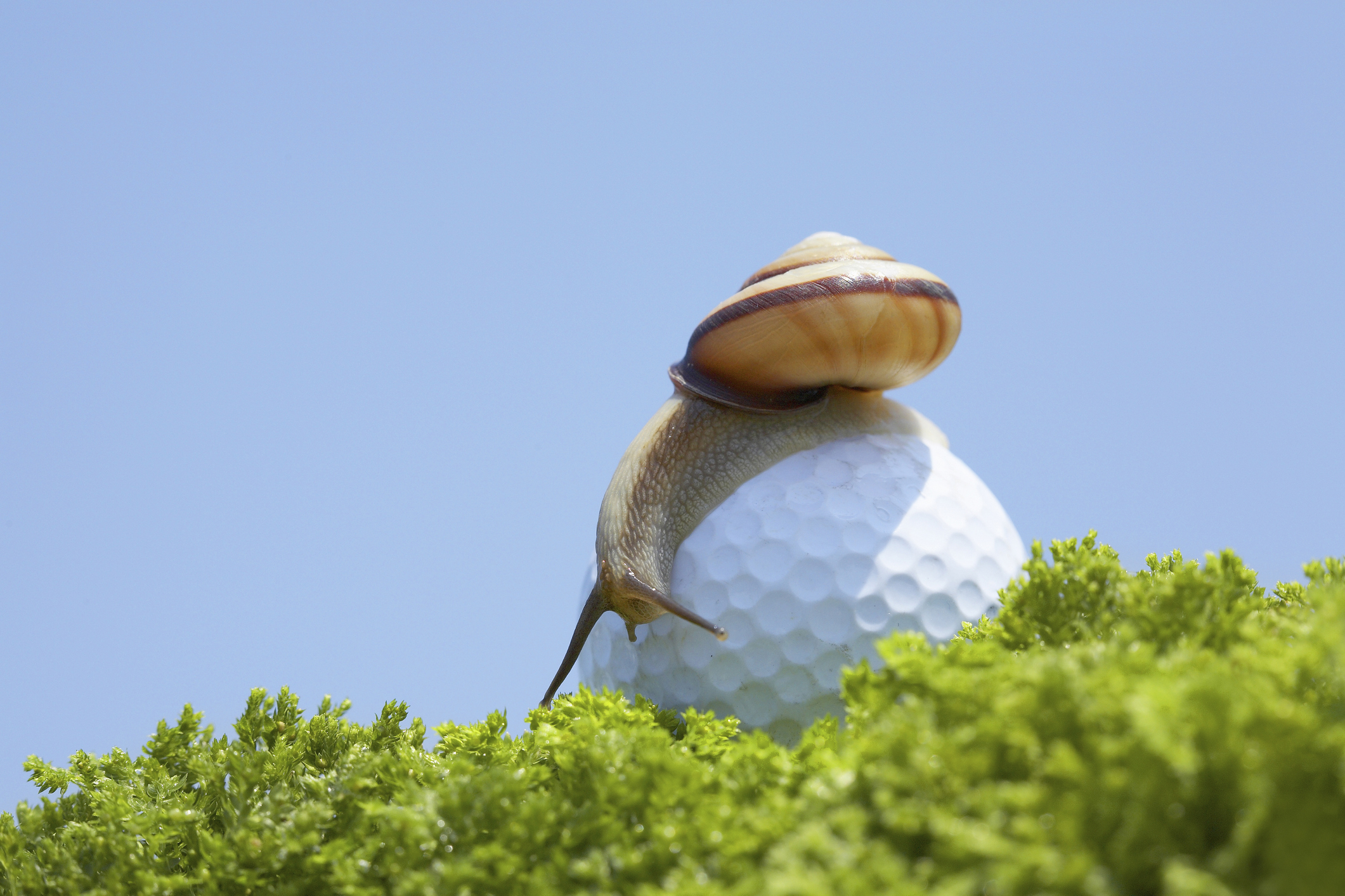 ‘Golf takes too long to play’