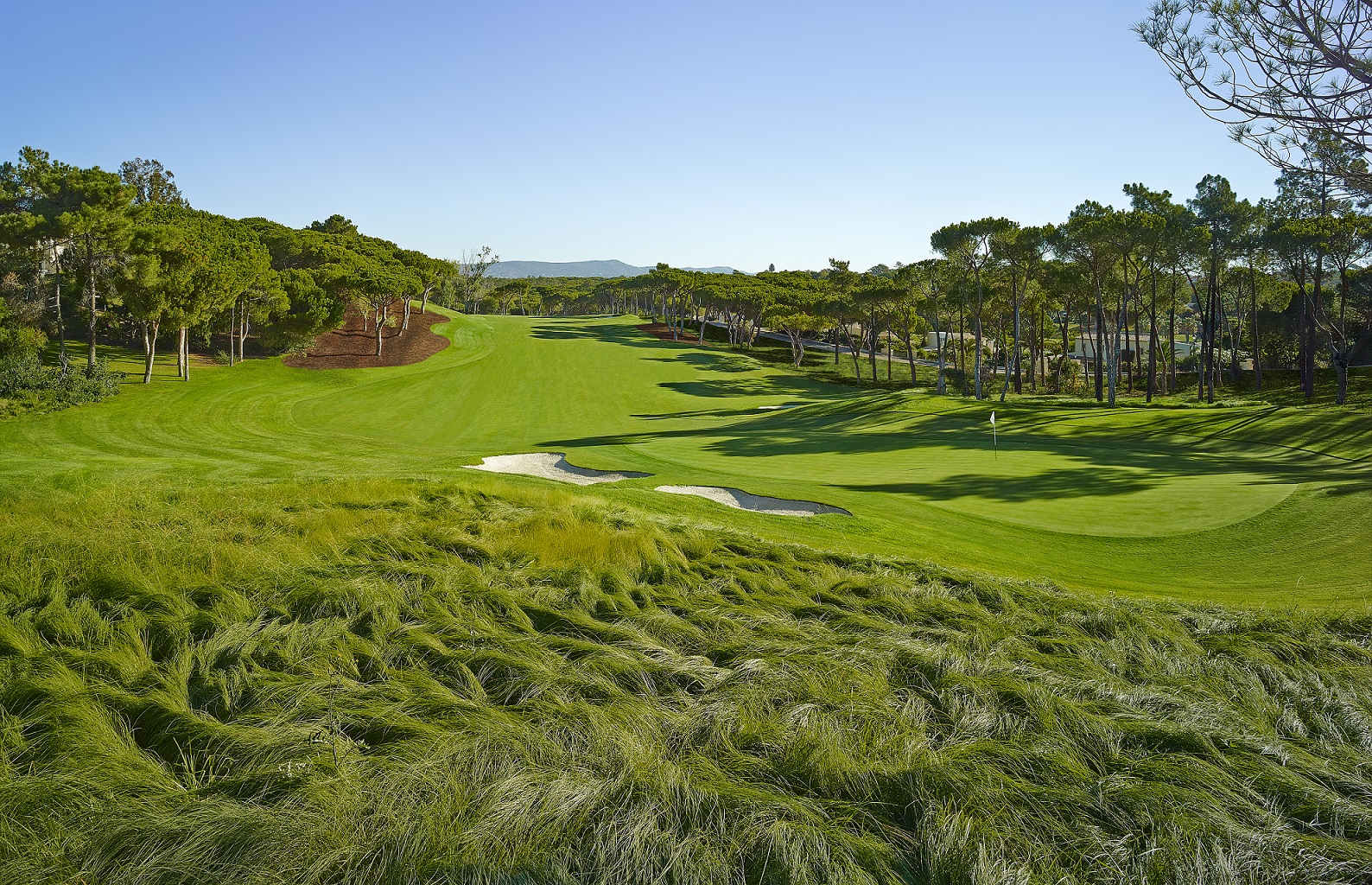 Lincolnshire sees the biggest jump in golf ‘staycation’ searches