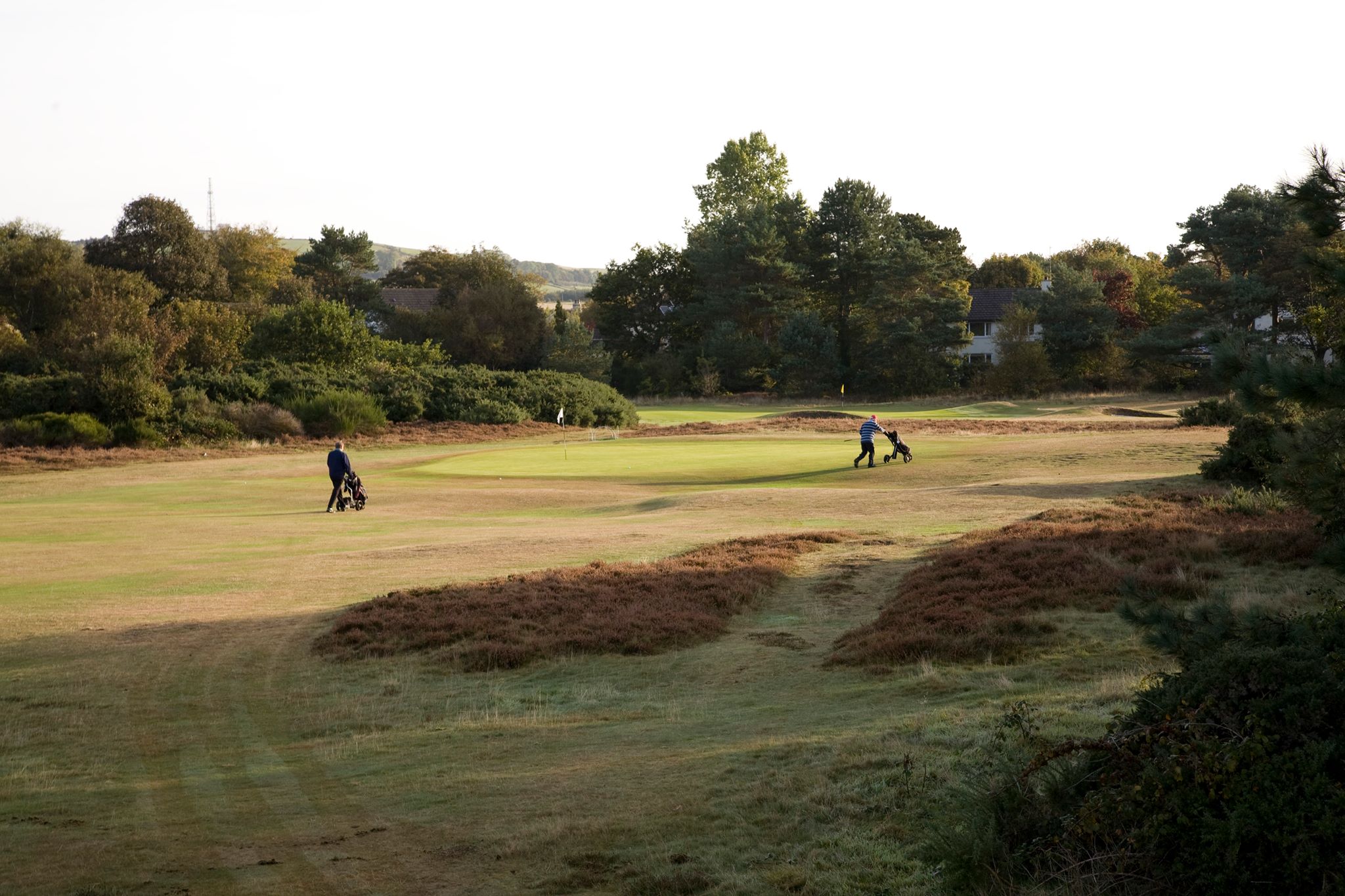 Golf operator reports membership and participation surge in 2020