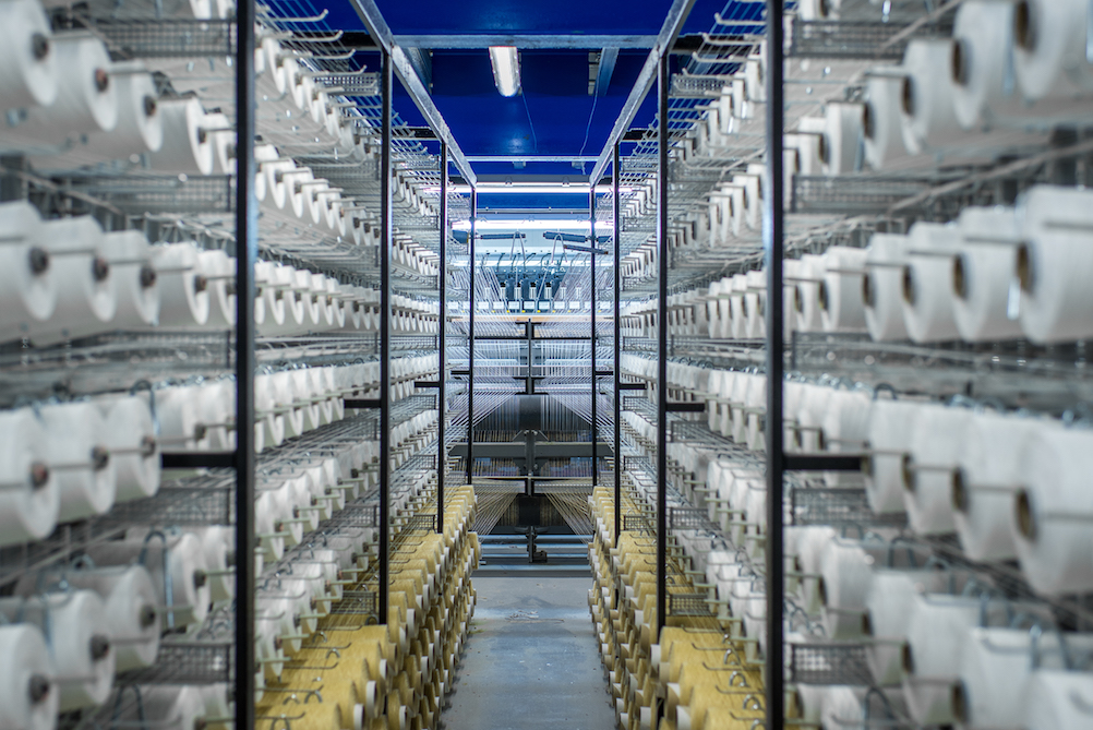 Healthy carpets, healthy world, healthy you