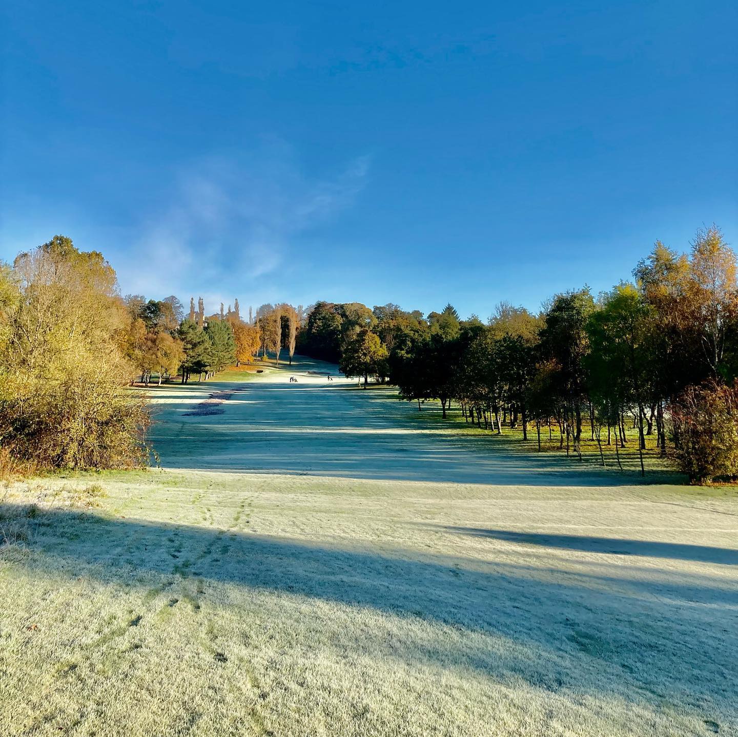 Golf course was ‘only leisure facility to grow last year’