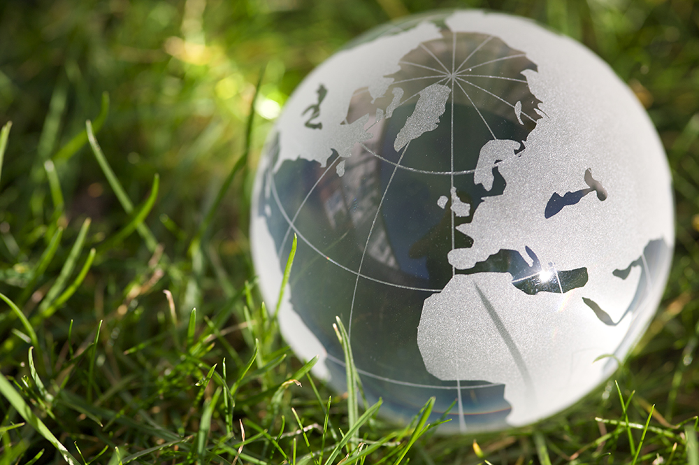 How grasses can help to reduce the carbon footprint of your golf club