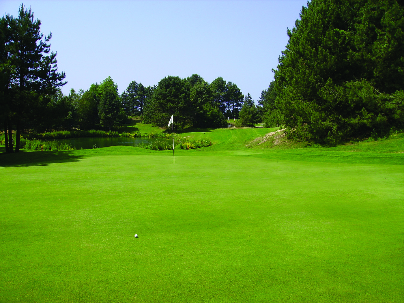 How magic mushrooms can benefit a golf course