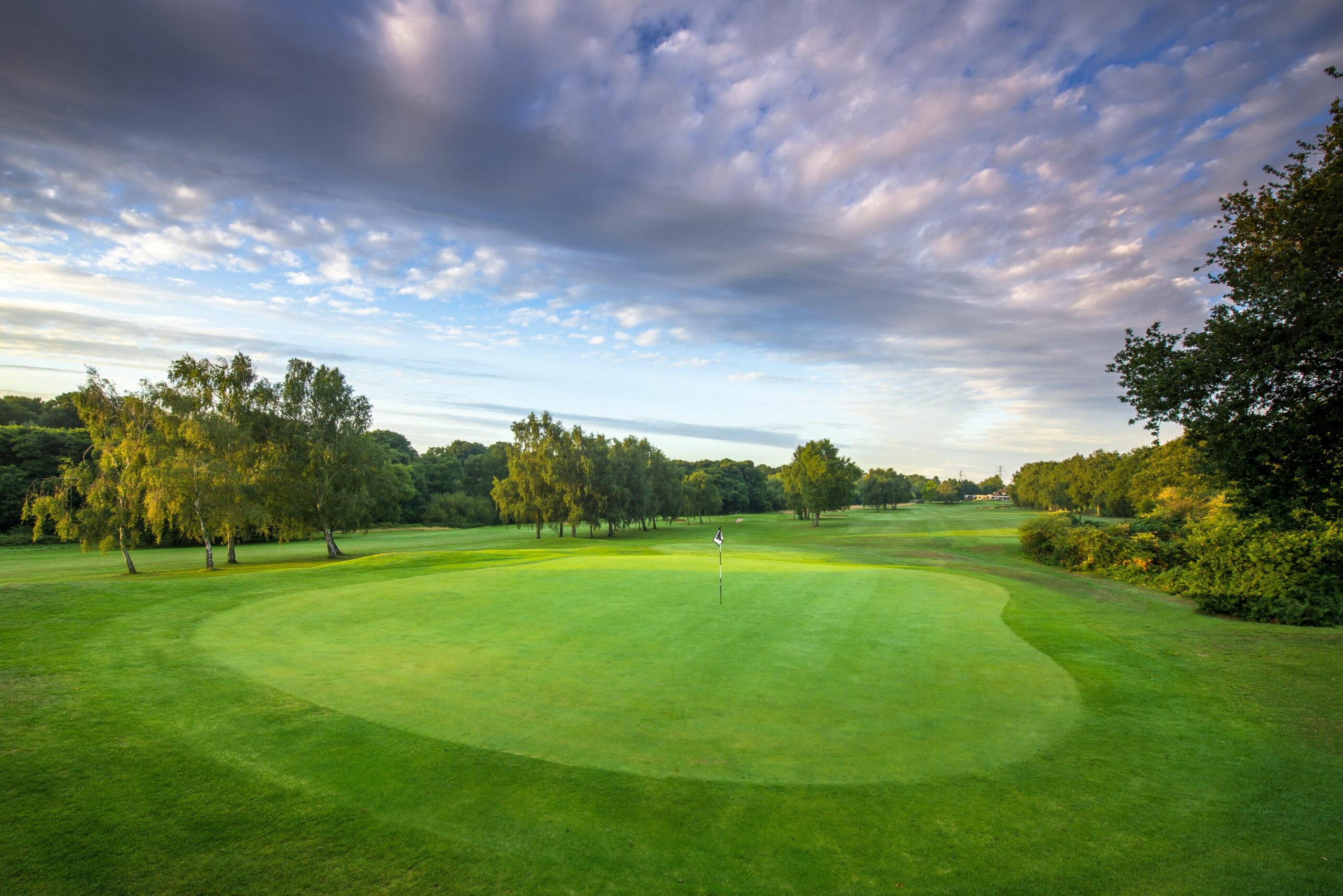 Alan Holcroft named new manager of Canterbury Golf Club