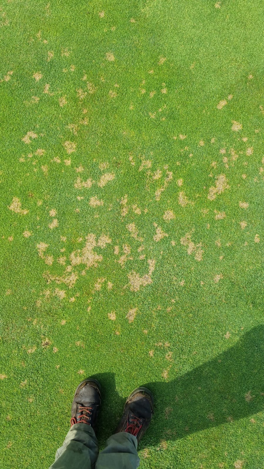 Dollar spot seminar a success for OAS