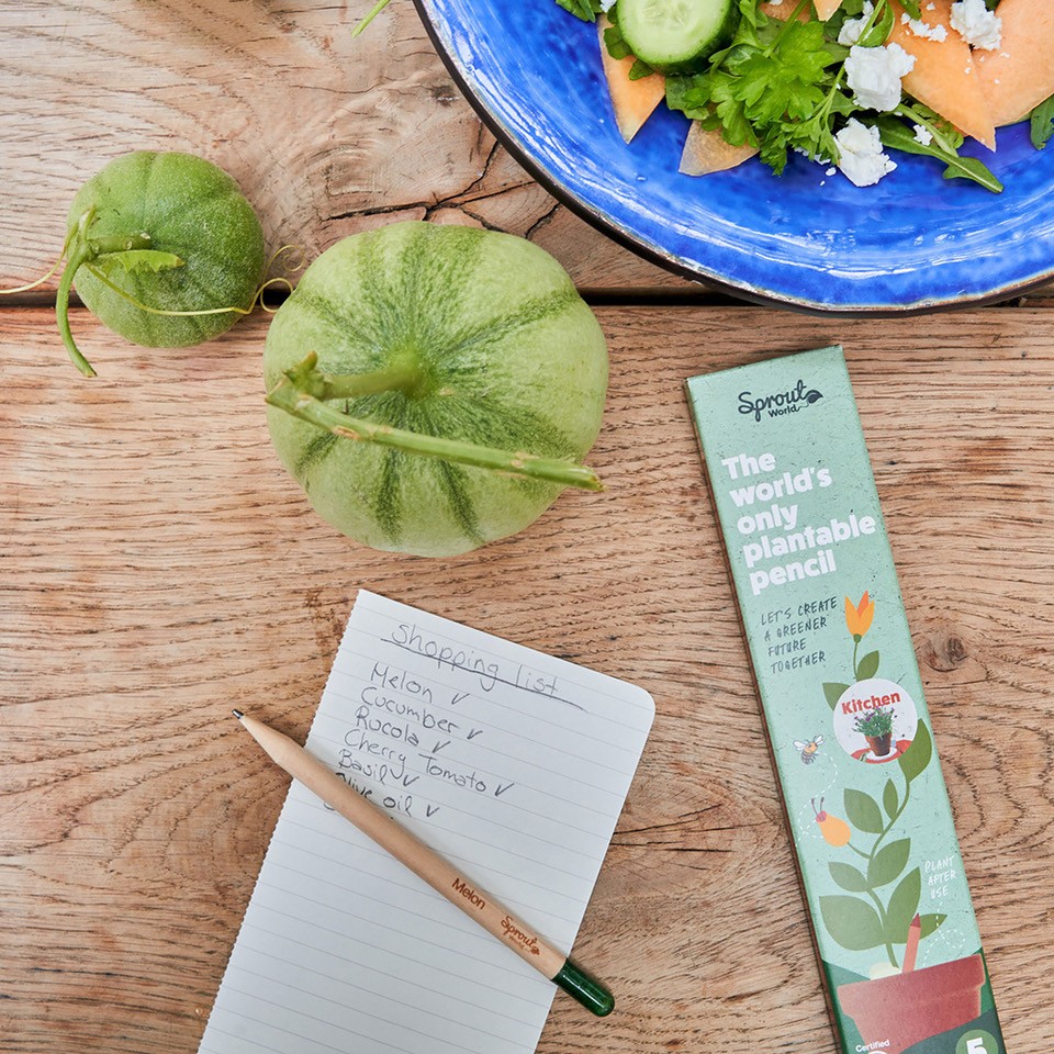 The perfect scorer: plantable pencils