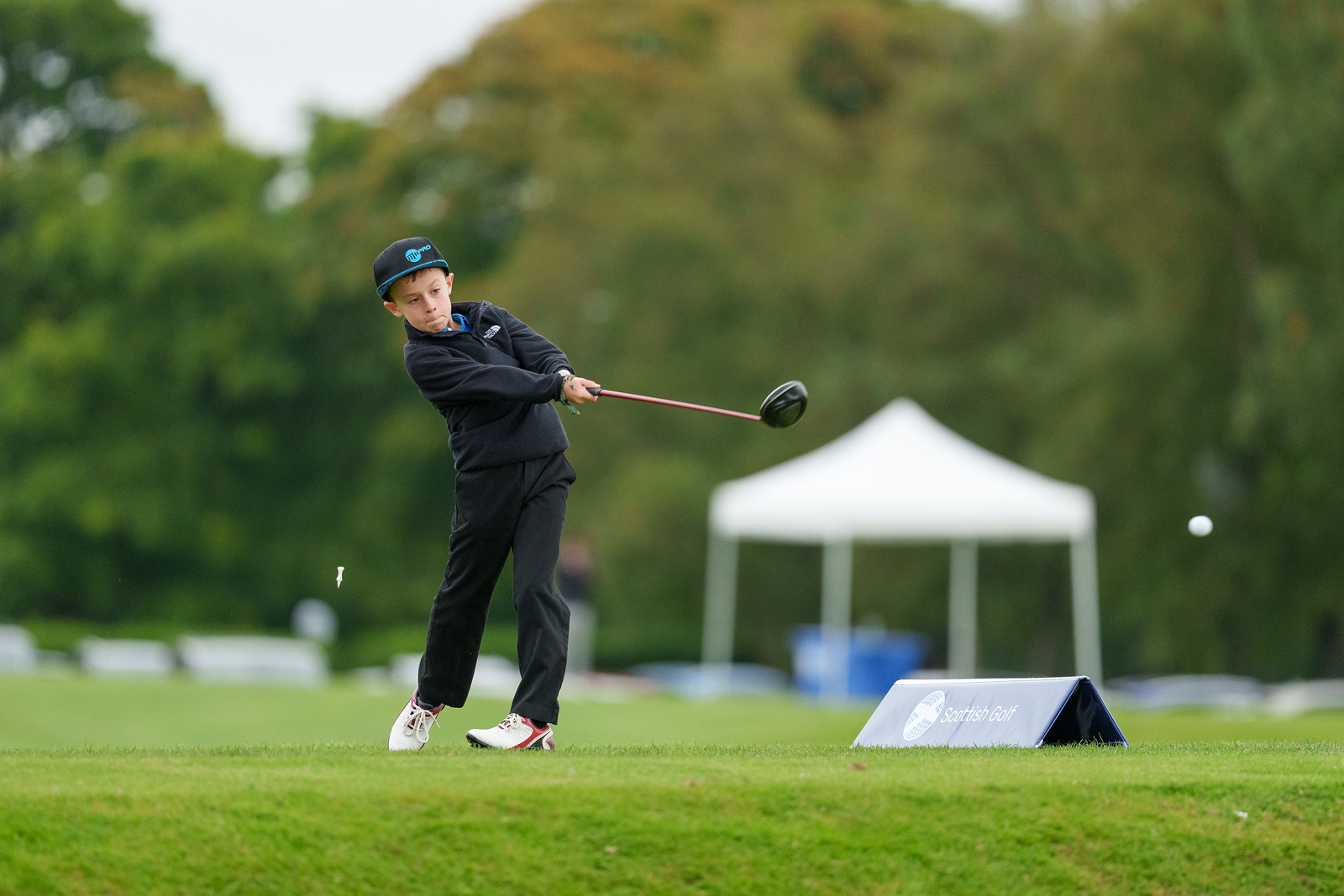 Membership at Scottish golf clubs rises by 5.4%