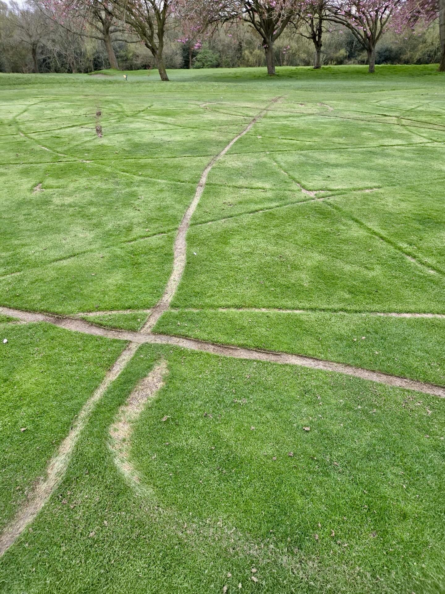 120-year-old Dartmouth Golf Club damaged by targeted motorbike vandalism