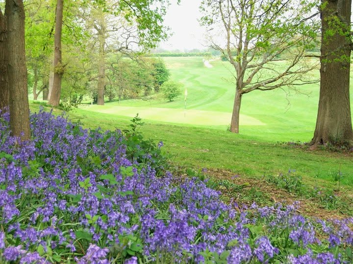 Two Surrey golf clubs face closure – both to be converted into hundreds of homes